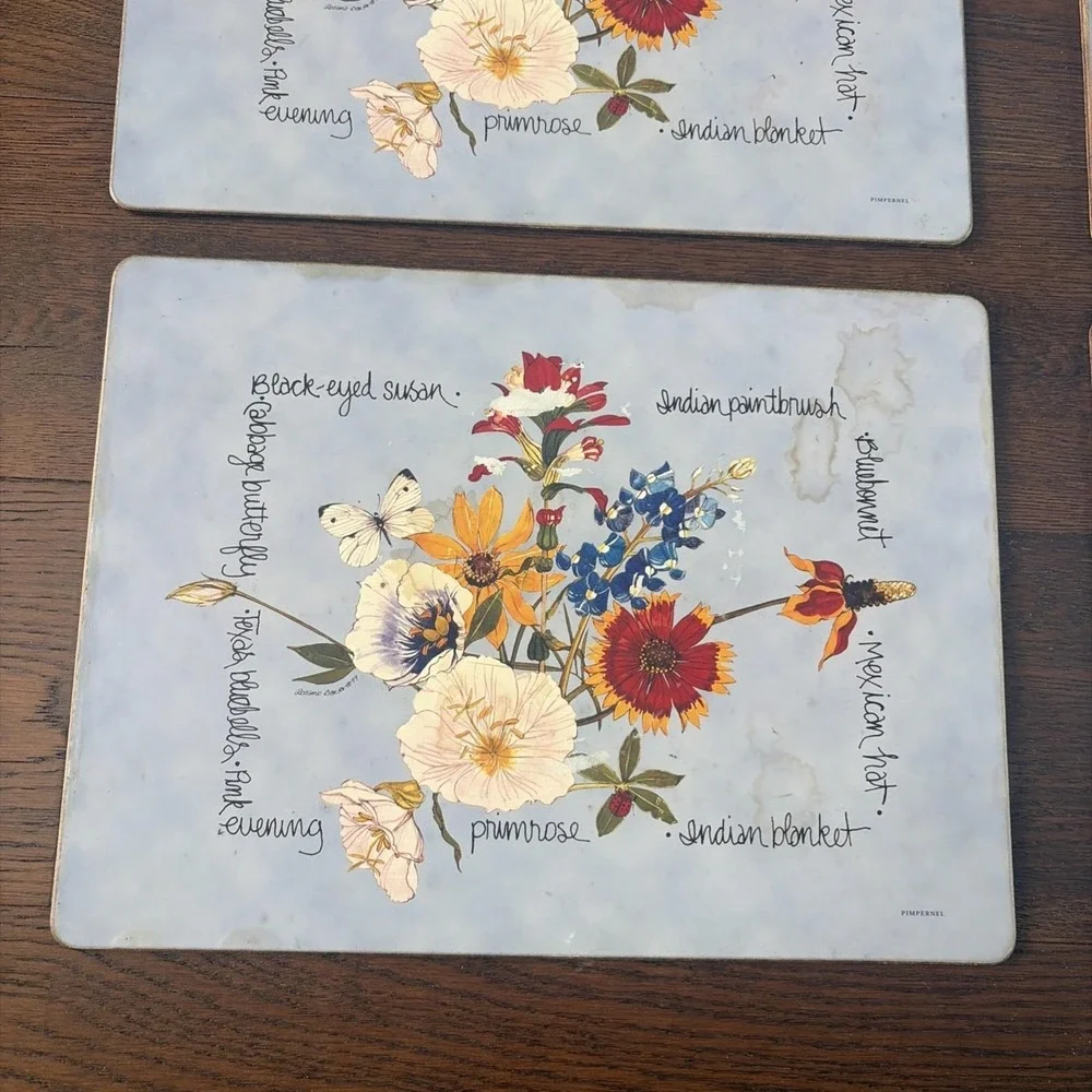 Pimpernel‎ Placemats (4) Southern Texas Wildflowers Wood Cork Used Cottagecore